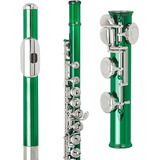 Flauta Profesional 