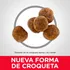 Alimento Hill's Adult 7+ Small Bites Para Perro 2 Kg