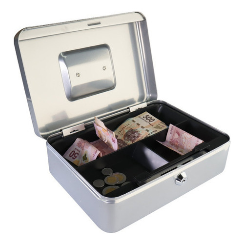 Caja Dinero Prolami Fuerte Seguridad Cash Box Metal Color Plateado