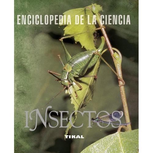 Insectos - Enciclopedia De La Ciencia - Distal