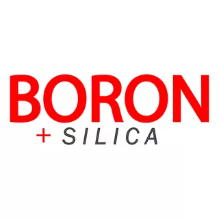 Boron + Silica  / 100 Comprimidos / Driving Force