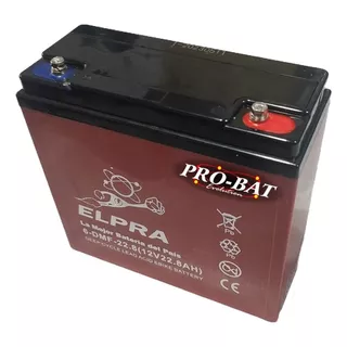 Bateria Para Moto Electrica Lucky Lion 4u 12v 20ah Pro-bat