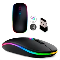 Mouse Sem Fio Recarregável Wireless Óptico LED RGB Ergonômico para PC - Preto