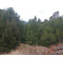 Parcela En Lago Calafquén-pullingue Lote 5