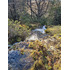 Sitio En Venta En Cerro Castillo / Carretera Austral