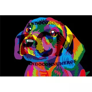 Pcn - Pintando Con Numeros - 41-perro Colores 2-30x40