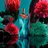 Jean Paul Gaultier La Belle Paradise Garden Edp 100ml Para Feminino