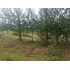 Finca En Vereda Llano Blanco