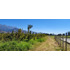 En Venta Parcela 10000m2 Graneros