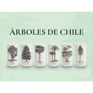 Juego De 6 Vasos Árboles De Chile