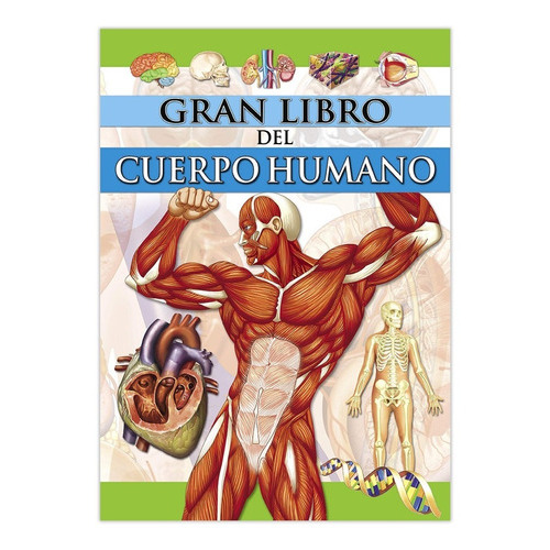 Gran Libro Del Cuerpo Humano, De Saldaña. Editorial Ediciones Saldaña, Tapa Dura En Español