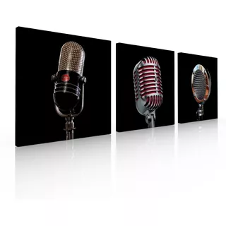 Set De 3 Cuadros Decorativos Para Sala O Recamara, Microfono