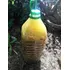 Purín De Cola De Caballo Vivero Orgánico Cielo Verde