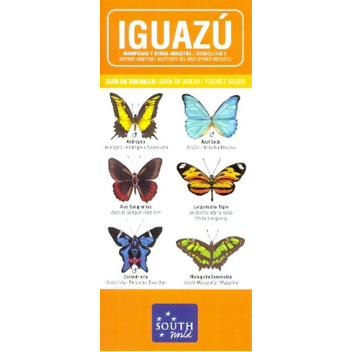 Iguazú Mariposas Y Otros Insectos, De Varios. Editorial South World, Tapa Blanda, Edición 1 En Español