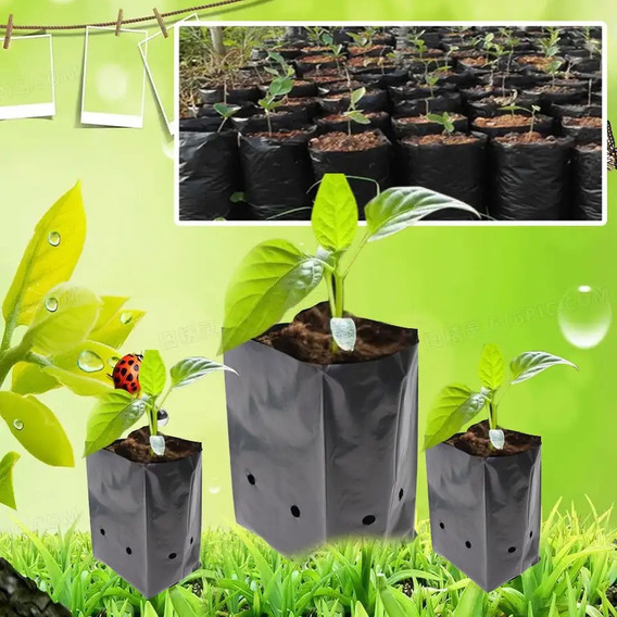 Bolsas Plantas Almacigos Kit 200 Unidades 12x12 Green World 