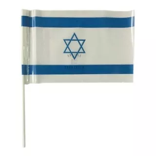Bandera De Israel Plastica 15x25cm ** X100 U ** 