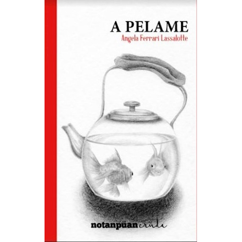 A Pelame - Angela Ferreri - Notanpüan - Lu Reads