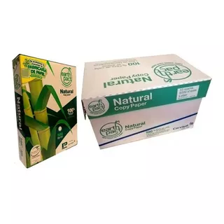 Resma Carta Ecológica 75gr Papel Natural Caja X 10 Reprograf