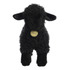 Black Lamb - 26463
