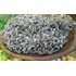 Flores Lavanda Organica Natural. 100g.