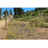 Terreno 1.500m² Alta Plusvalía En Reñaca Los Pinos