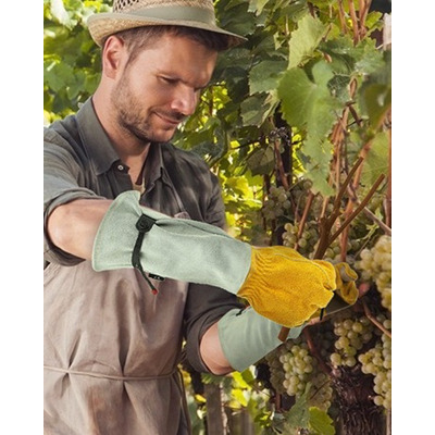 [envío Gratis] Guantes Largos A Prueba De Espinas Planta De