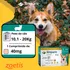 Zoetis Simparic 20mg Perro - Verde oscuro - 1 - 10.1 kg - 20 kg - 1 - Unidad - 1
