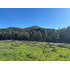 Venta De Terrenos  Sector Los Rulos