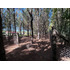 Oportunidad Parcela 5.000 Mts (93879)