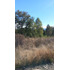 Parcela En Venta En Fresia 7.000.000m2