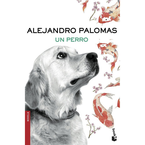 Libro Un Perro