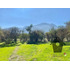 Lo Castro, Quebrada De Alvarado, Olmue. 5.000m2