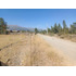En Venta Parcela 2,5 Hectareas Codegua