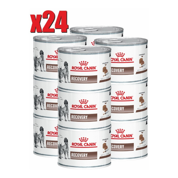 Combo 24 Latas Recovery Rs Royal Canin De 145 Gr.