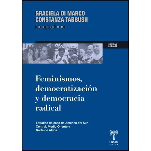 Feminismos Y Democracia Radical, Di Marco, Unsam