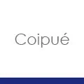 development-logo