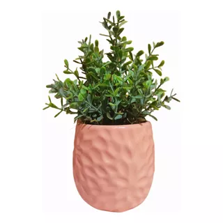 Vaso Decorativo Cone Redondo Com Relevo Com Planta Artif