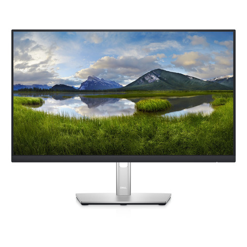 Monitor Dell P P2422HE LCD TFT 23.8" negro y plata 100V/240V
