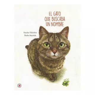 Gato Que Buscaba Un Nombre