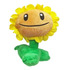 Girasol