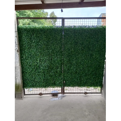 Foto del comprador