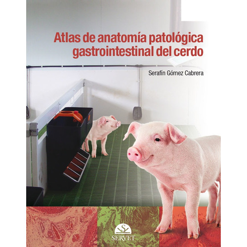 Atlas De Anatomia Patologica Gastrointestinal Del Cerdo -...