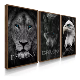 Quadros Decorativos Disciplina Execução Foco Leão Grande 