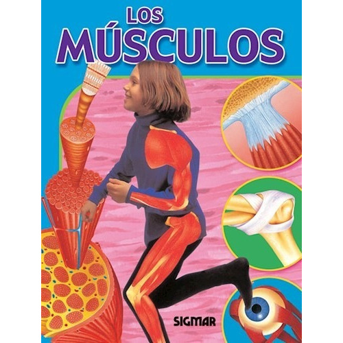 Libro Los Musculos De Cuerpo Y Salud