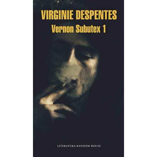 Vernon Subutex Vol I - Despentes,virginie