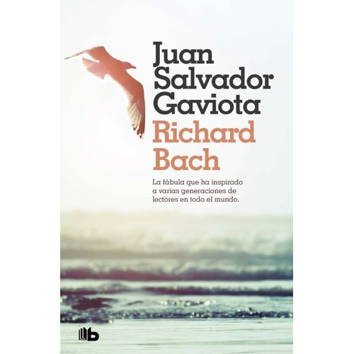 Libro: Juan Salvador Gaviota / Richard Bach