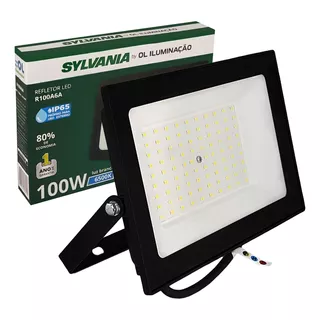 Reflector Led Bivolt De 100 W, Blanco Frío, 6500 K, Color De La Carcasa: Negro, Color De Luz Blanca Fría, 110 V/220 V