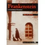 Libro Frankenstein O El Moderno Prometeo