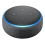 Primera imagen para búsqueda de alexa