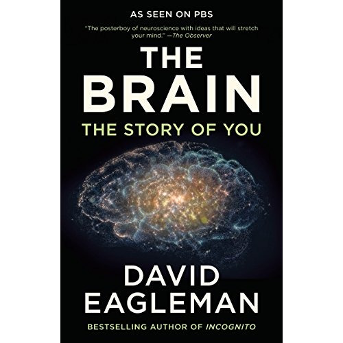 Book : The Brain: The Story Of You - David Eagleman (3446)